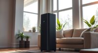 air purifiers for large spaces