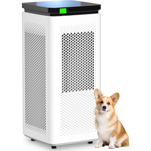 Air Purifier for Large Rooms with HEPA and Carbon