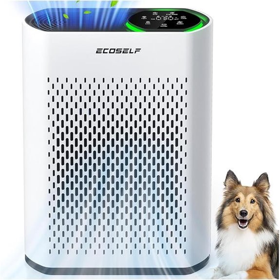 EcoSelf Large Room HEPA Air Purifier with Air Quality Display