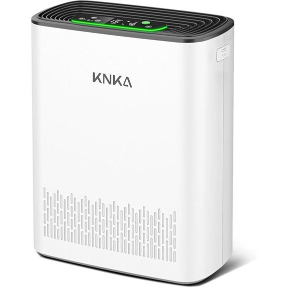 KNKA Air Purifier for Large Rooms with HEPA