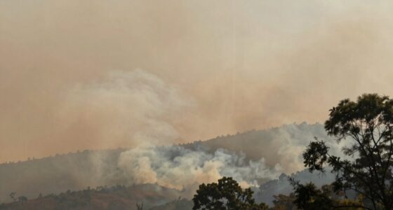 persistent wildfire smoke odor