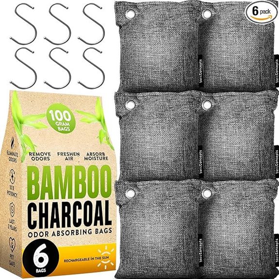 Charcoal Odor Absorber Bags (6 Pack)