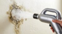 top portable mold cleaners