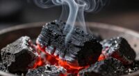 using carbon to absorb smoke