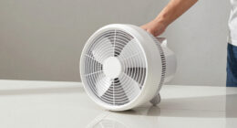 10 Best Air Mover Fan for Drying in 2026