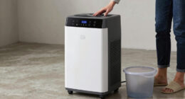 10 Best Best 100 Pint Dehumidifier For Basement In 2026