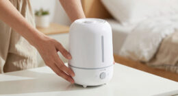 10 Best Humidifier For Master Bedroom In 2026