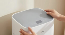 11 Best Crawl Space Dehumidifier in 2026