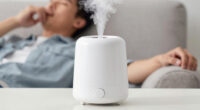 11 Best Humidifier for Sinus Relief in 2026
