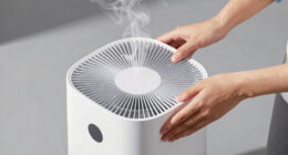 13 Best Air Purifier for Smoke in 2026