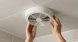 13 Best Bathroom Exhaust Fans in 2026