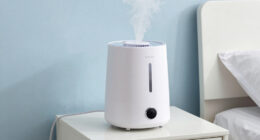 13 Best Cool Mist Humidifier for Bedroom in 2026