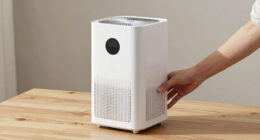 13 Best Whole House Air Purifier in 2026