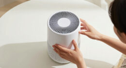 14 Best Air Purifier For Allergies In 2026