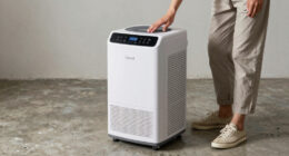 6 Best 120 Pint Dehumidifier for Basement in 2026