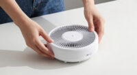 6 Best In-Duct Air Purifier in 2026