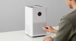 7 Best Air Purifier for Allergies Under $800 in 2026