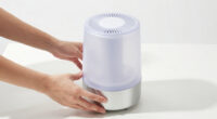 7 Best Fan Powered Humidifier in 2026
