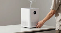 8 Best Air Purifier For Smoke Under $800 in 2026
