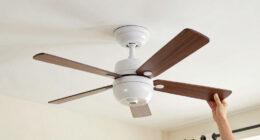 8 Best Ceiling Fans for Bedroom in 2026