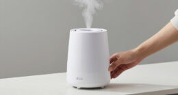 8 Best Evaporative Humidifier in 2026