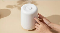 8 Best Steam Humidifier for Home in 2026