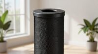 air purification and odor removal