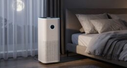 nighttime air purifier features