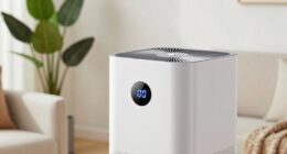 overhyped indoor air features