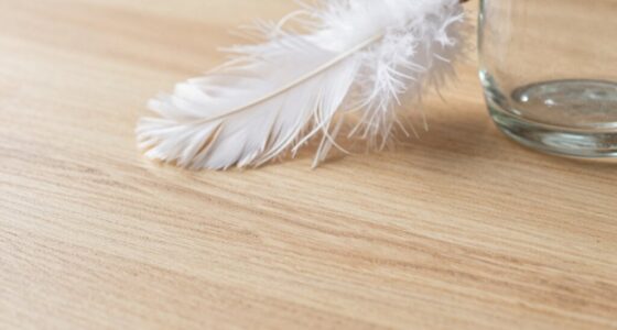 proper dusting improves cleanliness