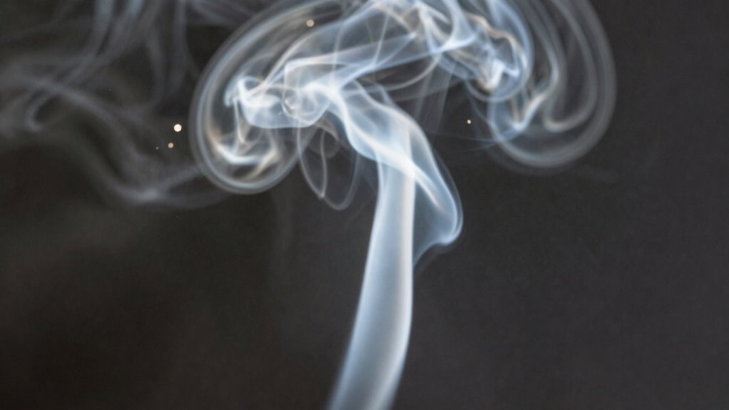 smoke smell vs particles