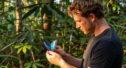 Radiohead’s Ed O’Brien on How Nature Inspired ‘Blue Morpho’ Album and Healed His Mind
