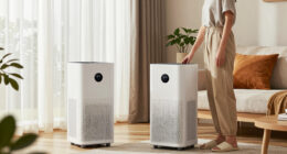 15 Best Air Purifiers for Allergy Relief in 2026