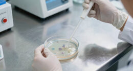 Cdc Parasite Outbreak