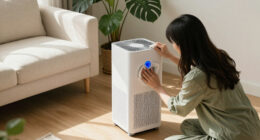 15 Best Air Purifiers for Cleaner Indoor Air in 2027