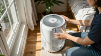 15 Best Dehumidifiers for Damp Homes and Basements in 2027
