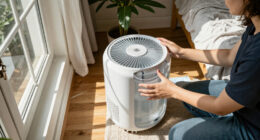 15 Best Dehumidifiers for Damp Homes and Basements in 2027