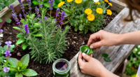 From Farm To Skin: 5 Herbs I Grow For Skincare